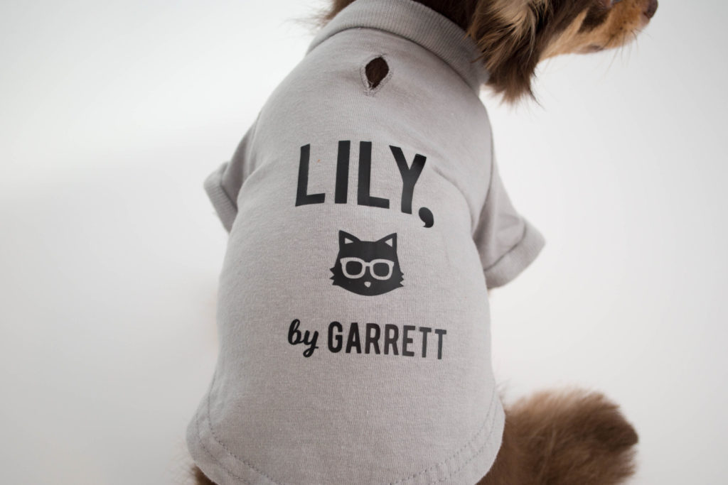 【犬服を制作】チワワ用のプリントTシャツをオリジナルで作る方法